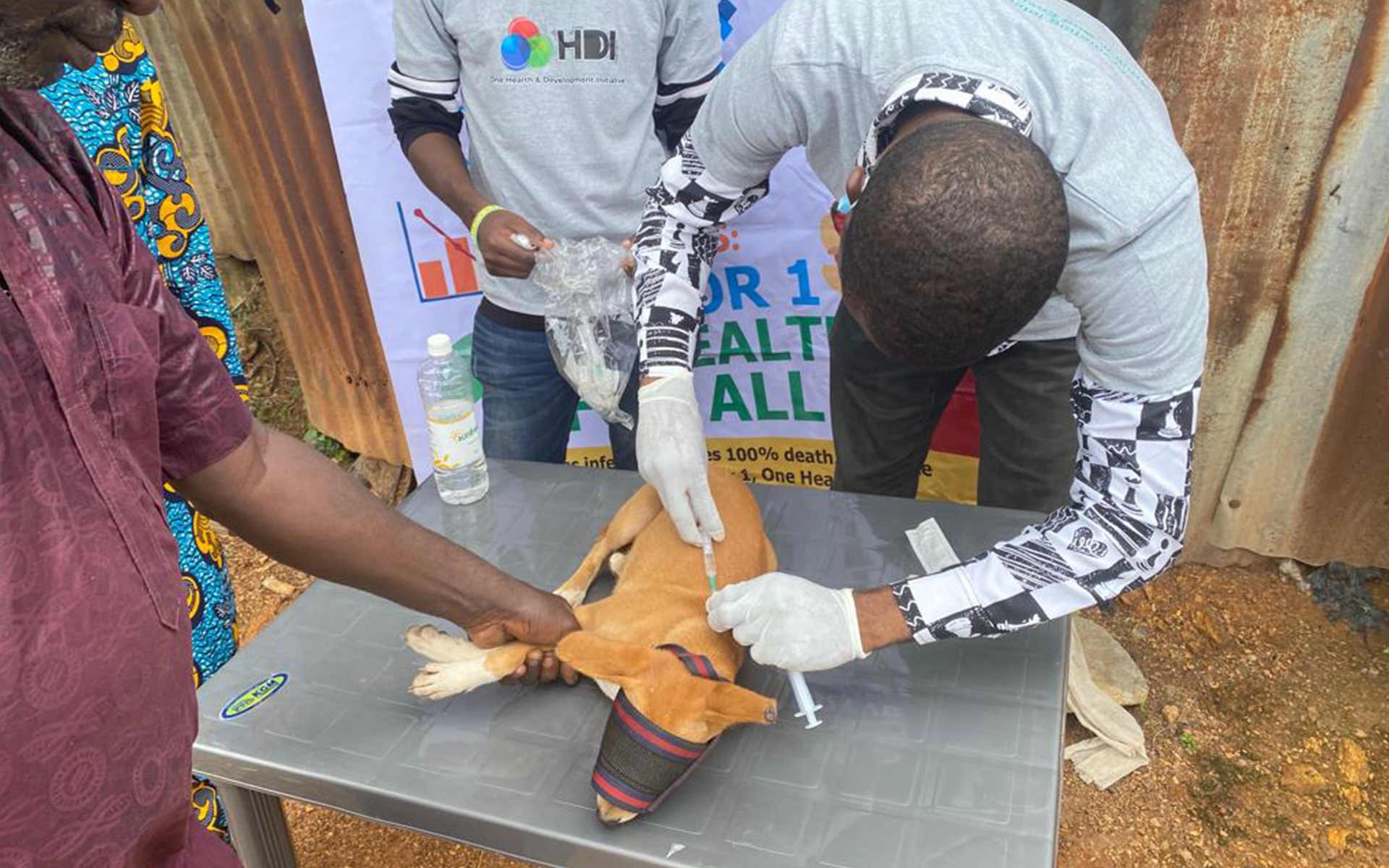 Dogs vaccination remains one of the best way to fight against rabies that mainly affects suburban and rural communities  where prevention programs are limited.