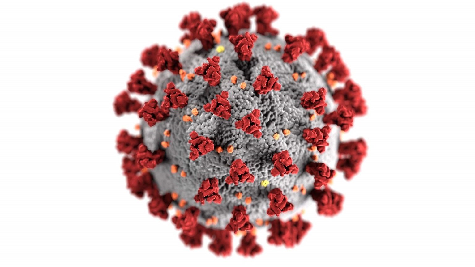 novelcoronavirus-optimized-1536